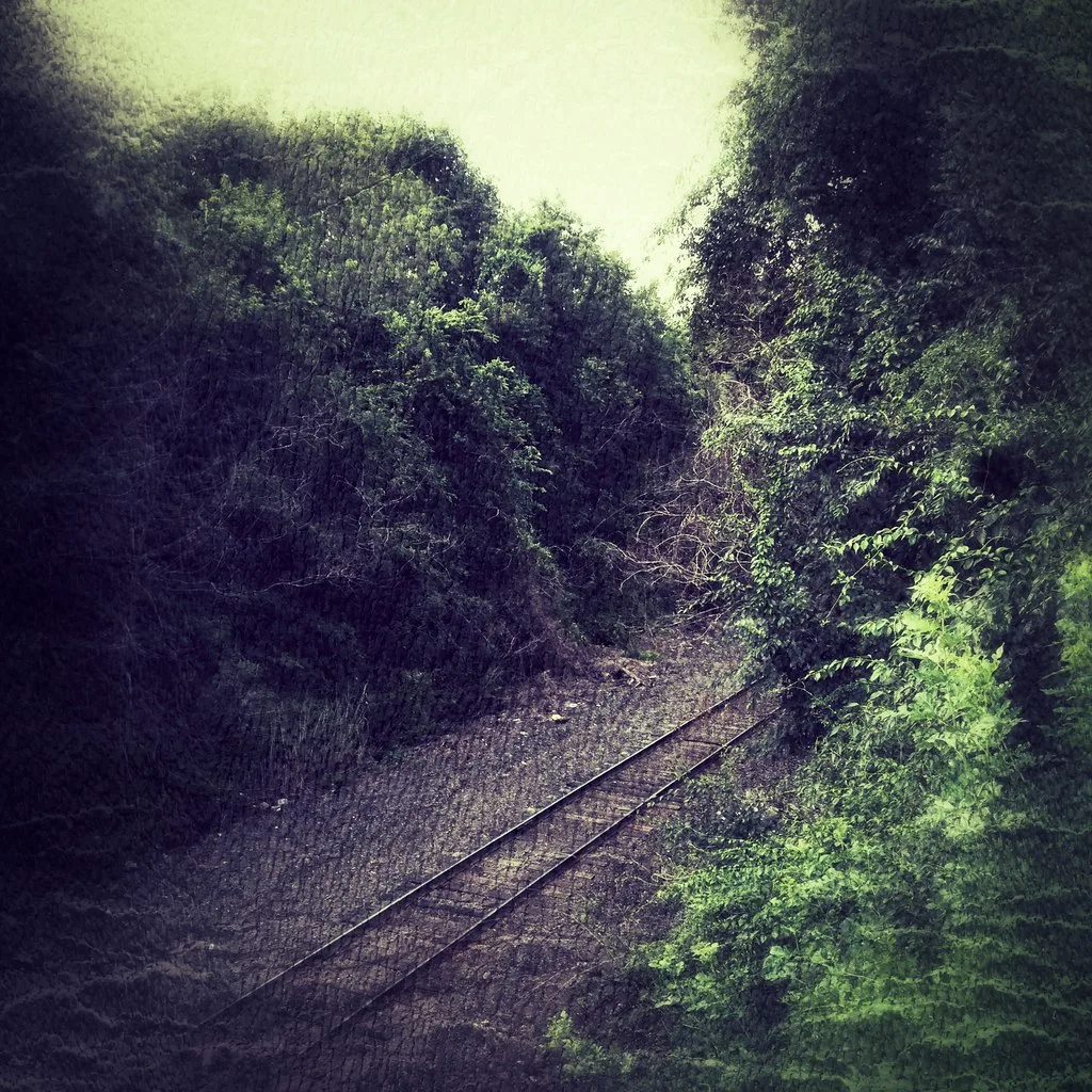 Old railway track in a cutting overgrown with vegetation.