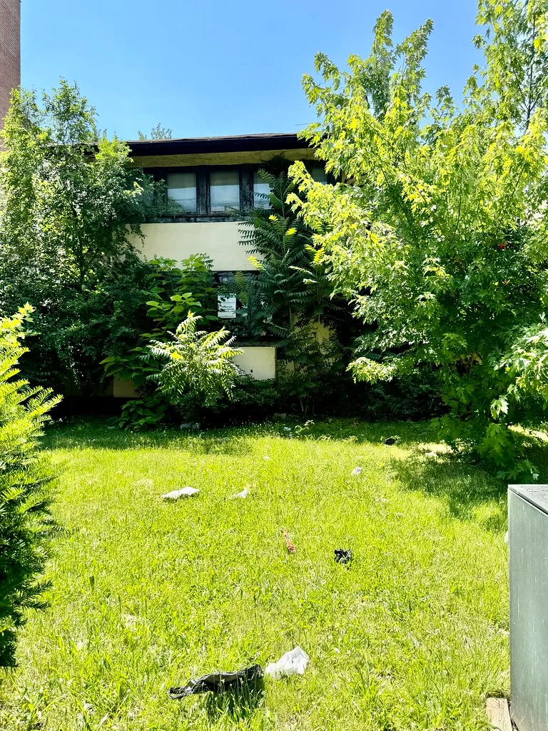 Ancien bâtiment aux accès condamnés derrière de jeunes arbres.
