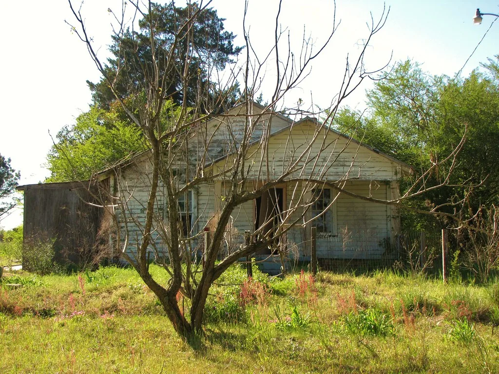 Ancienne maison de bois envahie de végétation derrière un arbre.