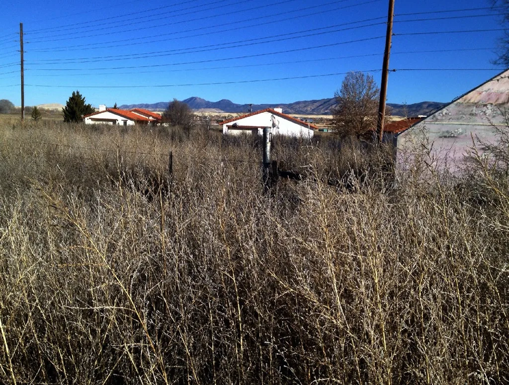 Small red-roofed buildings behind tall dry grass.