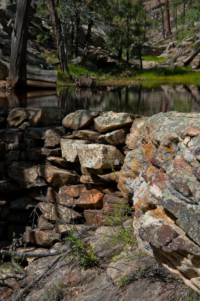 Vestiges d’un mur de pierre près d’une retenue d’eau en forêt.