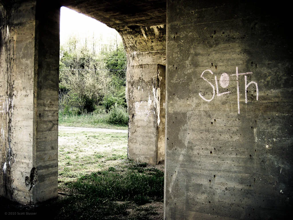 Openings in an old graffiti-covered concrete structure with grass on the ground.