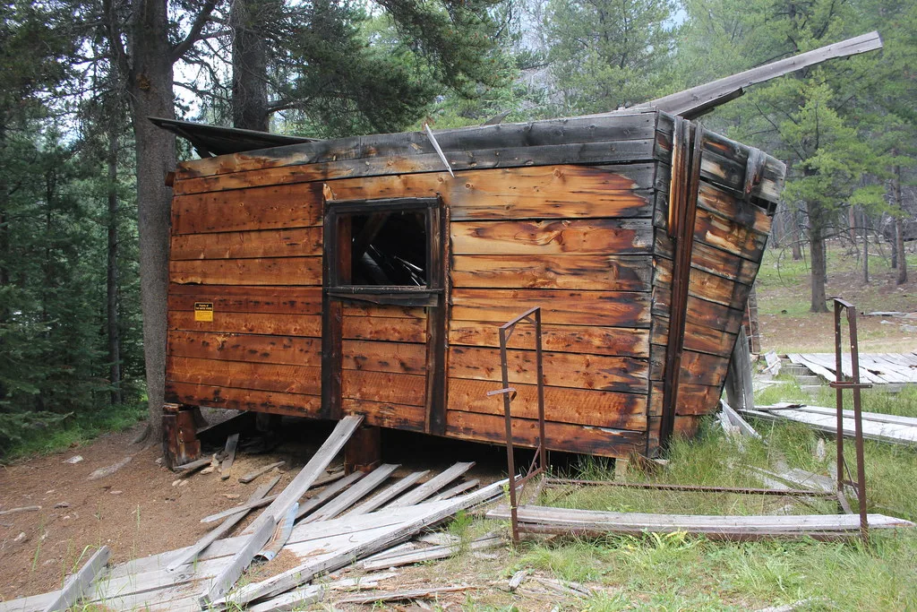 Cabane en bois affaissée et sans toit, entourée de planches éparses dans la forêt.