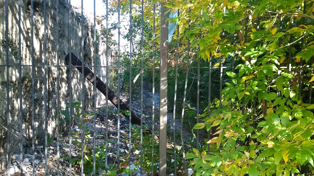 Overgrown ruined passage behind a metal fence.
