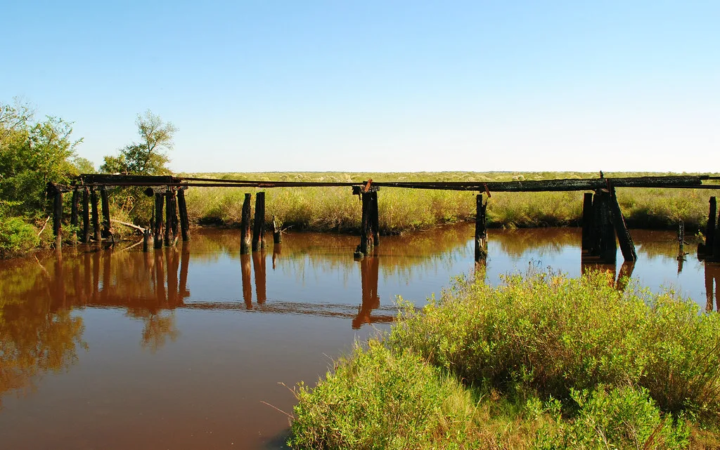 Vestiges d’un ponton de bois aux piles dégradées et poutres nues au-dessus d’une eau brune.