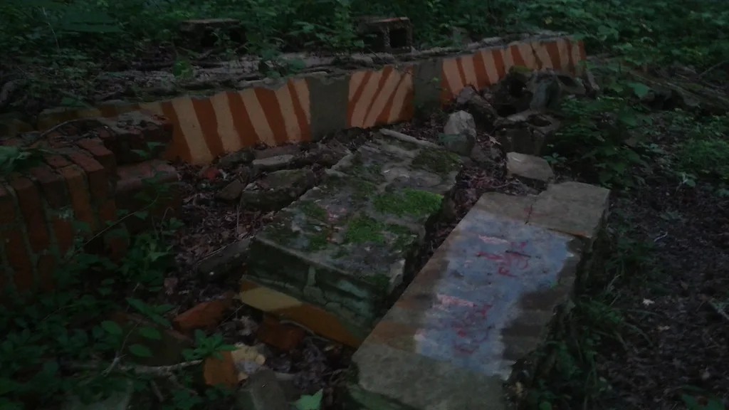 Collapsed moss-covered masonry in dark woodland.