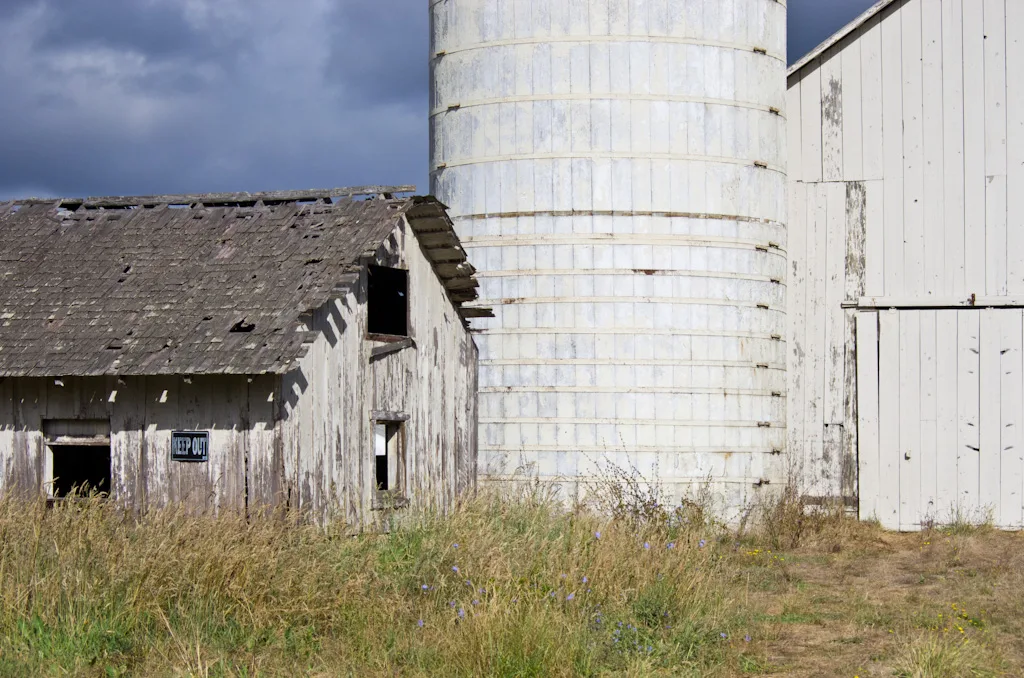 Old farm building with holes in its roof beside a white silo.