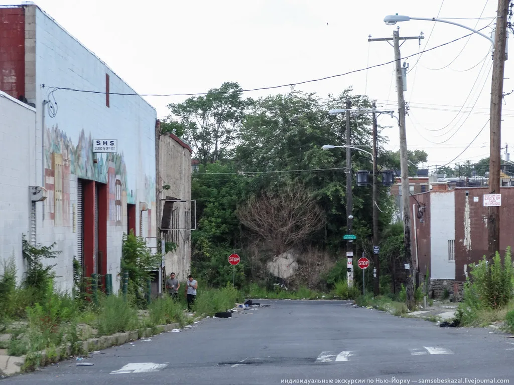Street lined with boarded buildings and tall vegetation.