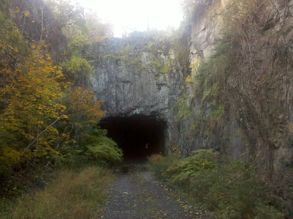 Entrée sombre d’un ancien tunnel rocheux au bout d’un chemin envahi de végétation.
