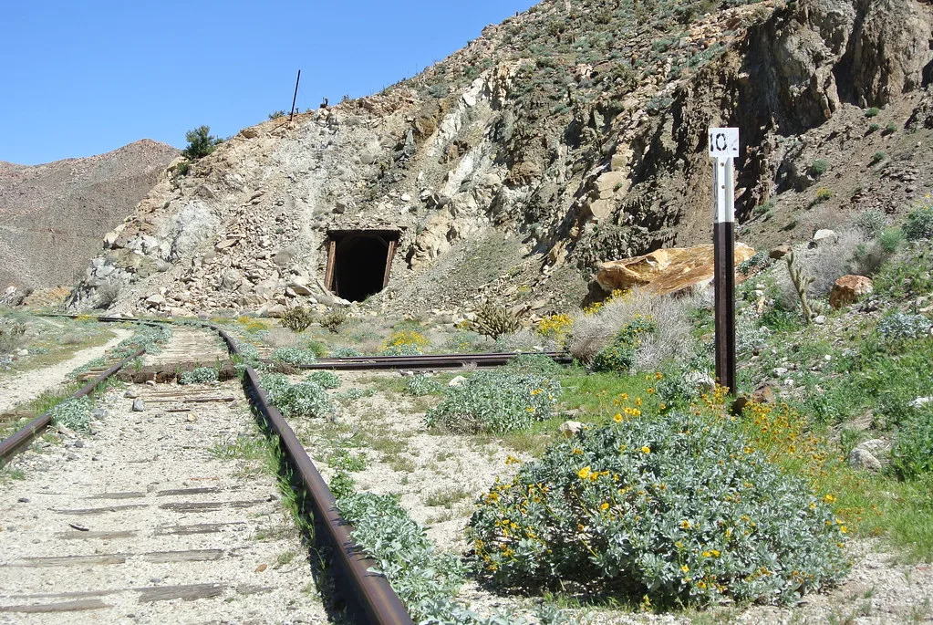 Old railway overgrown with plants beside a dark opening cut into a rocky slope.
