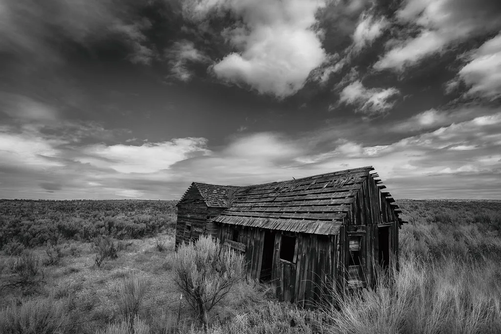 Derelict wooden cabin in grassland, in black and white.